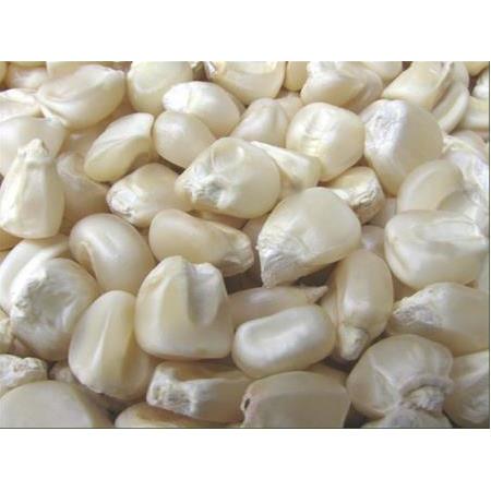 BEYAZ MISIR (KORKOT)