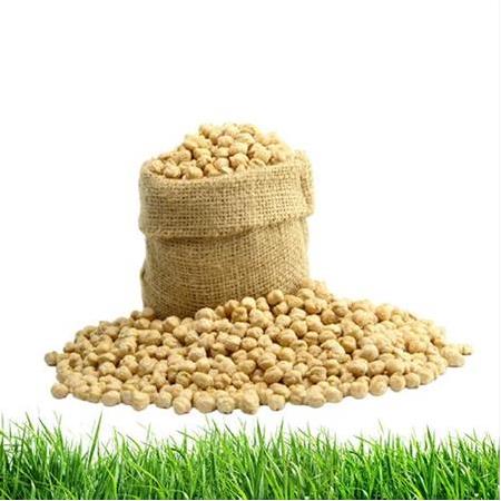 SÜPER NOHUT(YENİ MAHSÜL) KG